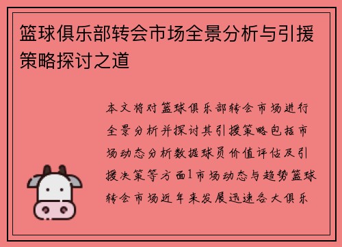 篮球俱乐部转会市场全景分析与引援策略探讨之道