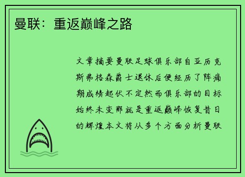 曼联：重返巅峰之路
